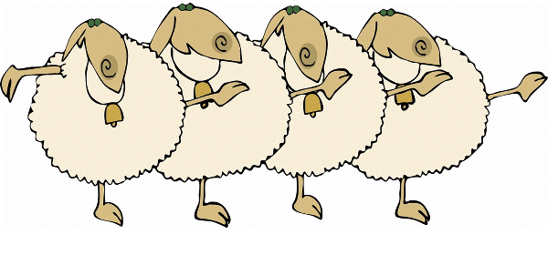 Blonde Sheep Events
